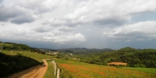  View of the domain